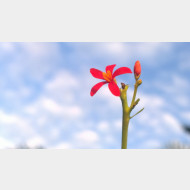 WP 20150412 18 57 47 Pro