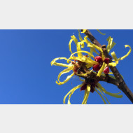 WP 20150214 12 40 41 Pro