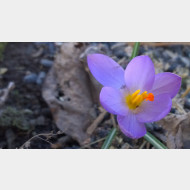 WP 20150220 10 57 08 Pro 1