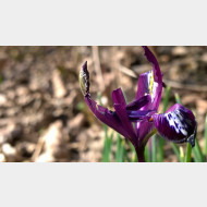 WP 20150226 13 26 12 Pro
