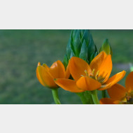 WP 20150227 16 21 59 Pro