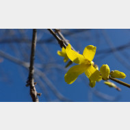 WP 20150321 12 00 42 Pro