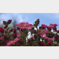 WP 20150326 12 58 01 Pro