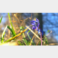 WP 20150328 16 25 54 Pro