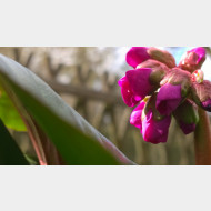 WP 20150330 15 56 23 Pro