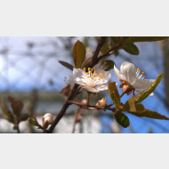 WP 20150405 15 56 10 Pro 1