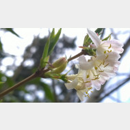 WP 20150405 15 58 58 Pro 1