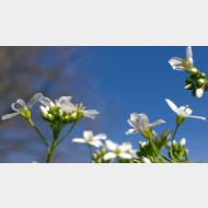 WP 20150415 16 27 03 Pro