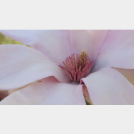 WP 20150415 16 31 24 Pro 1