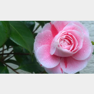 WP 20150418 08 17 10 Pro