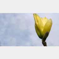 WP 20150418 16 19 41 Pro 2