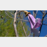 WP 20150419 14 22 44 Pro 1