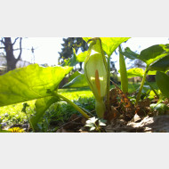 WP 20150419 14 57 51 Pro1