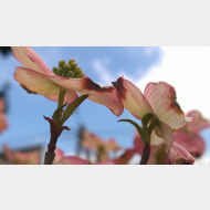 WP 20150423 15 31 29 Pro