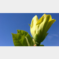 WP 20150425 09 40 22 Pro ok