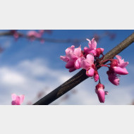 WP 20150426 08 39 54 Pro 1