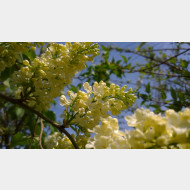 WP 20150429 15 35 13 Pro 2