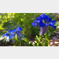 WP 20150429 16 10 32 Pro 1