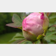WP 20150430 15 37 40 Pro
