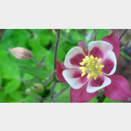 WP 20150506 07 11 04 Pro