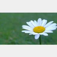 WP 20150506 07 14 55 Pro