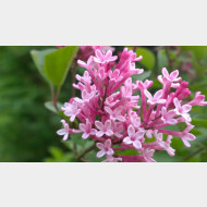 WP 20150506 07 17 57 Pro