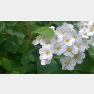 WP 20150507 12 30 21 Pro