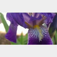 WP 20150508 15 15 20 Pro