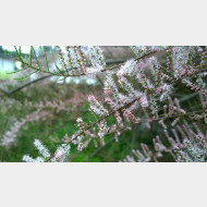 WP 20150509 10 56 50 Pro 1