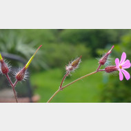 WP 20150526 15 16 49 Pro