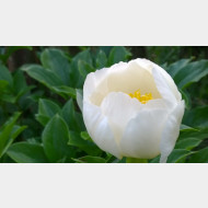 WP 20150531 19 53 25 Pro