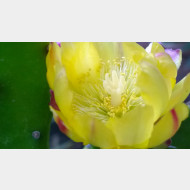 WP 20140901 19 13 34 Pro