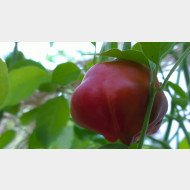WP 20140908 07 58 45 Pro