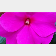 WP 20141004 12 27 50 Pro