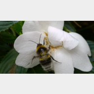 WP 20141004 12 28 08 Pro