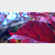 WP 20141004 16 24 38 Pro
