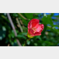 WP 20141028 14 53 44 Pro