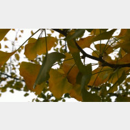 WP 20141106 13 48 26 Pro