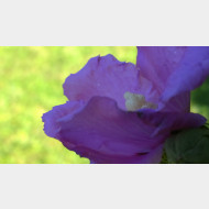 WP 20150912 14 27 07 Pro