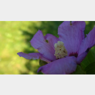 WP 20150912 14 27 34 Pro
