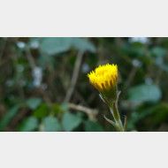 WP 20150307 14 45 16 Pro