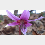 WP 20150314 14 21 42 Pro