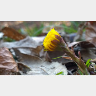 WP 20150319 10 48 53 Pro