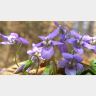 WP 20150409 13 44 26 Pro