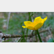 WP 20150409 14 54 48 Pro 1