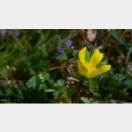 WP 20150412 14 23 27 1Pro