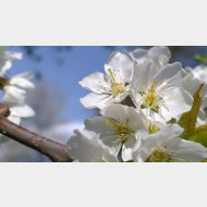 WP 20150413 15 08 15 Pro 1