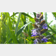 WP 20150413 15 28 18 Pro 1