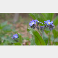WP 20150417 15 44 39 Pro
