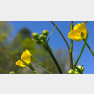 WP 20150420 14 56 57 Pro 1